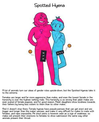 Illustration for article titled The weirdest mating habits of the animal kingdom, explained using humans